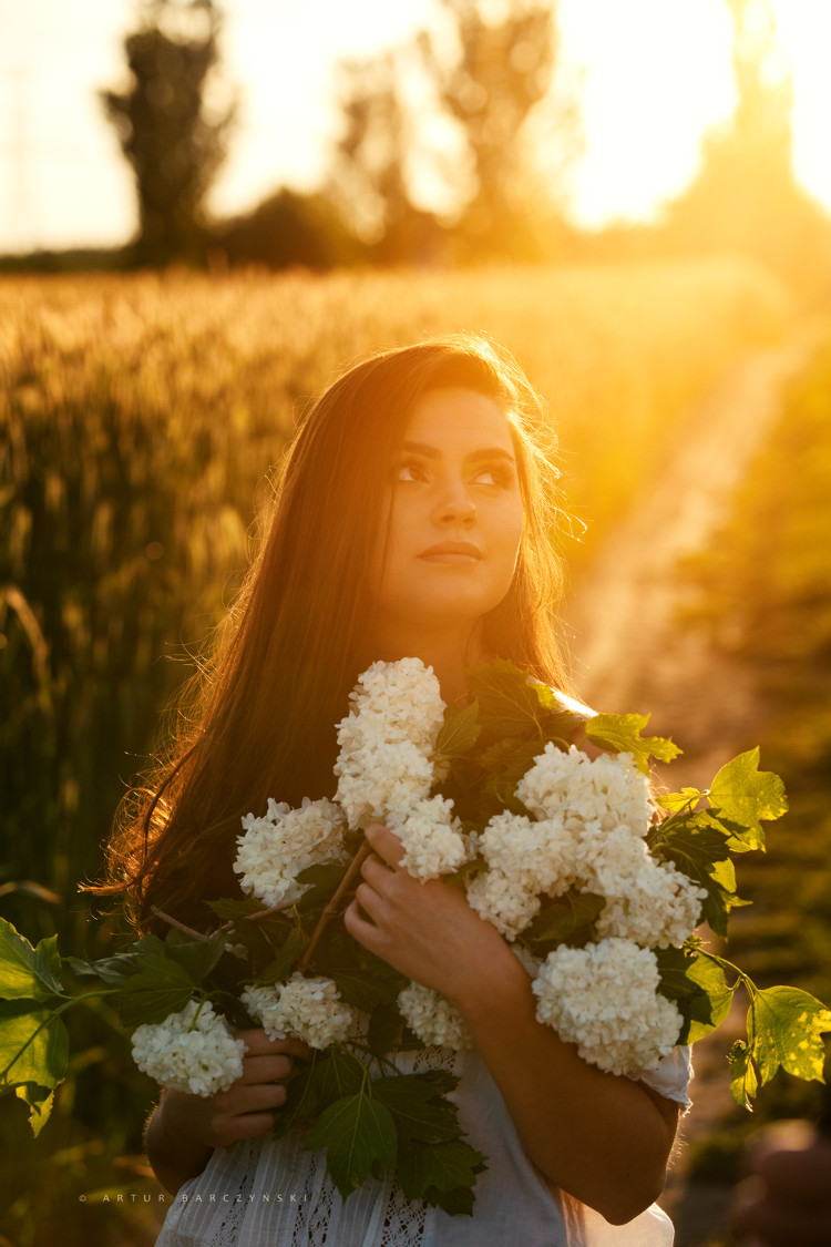 28086fcd612b87cc467615a6079645db_340256.jpg