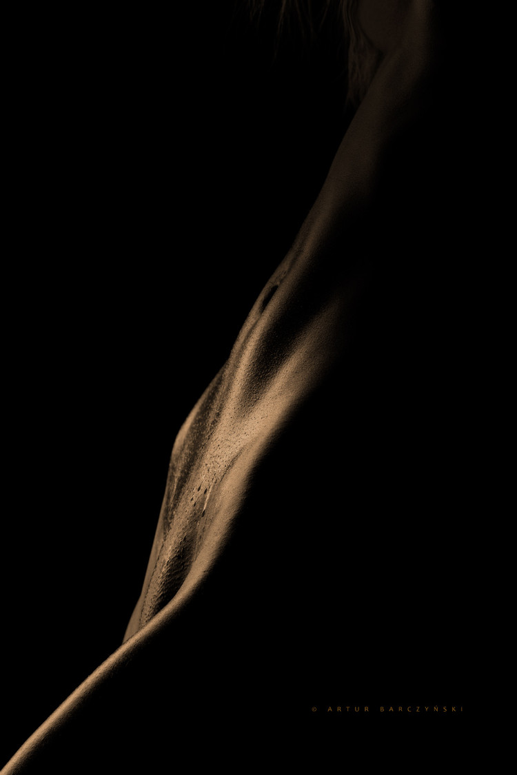 ee36bffc9ac7702122d89d5ba8611a73_340256.jpg